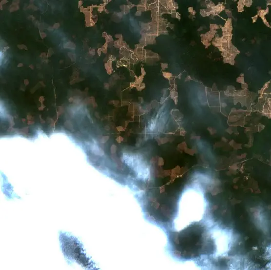 Before — Sungai Keruh (Sentinel-2, 2026-09-08)