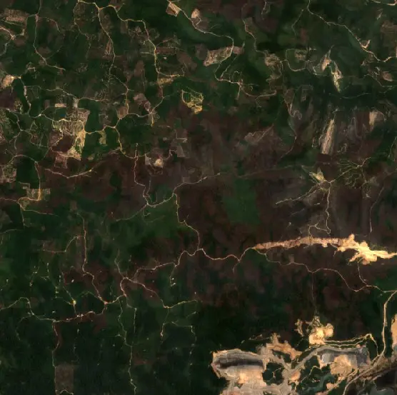 Before — Berau (Sentinel-2, 2026-08-29)
