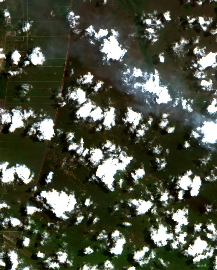 Before — Kotawaringin Barat (Sentinel-2, 2026-09-19)