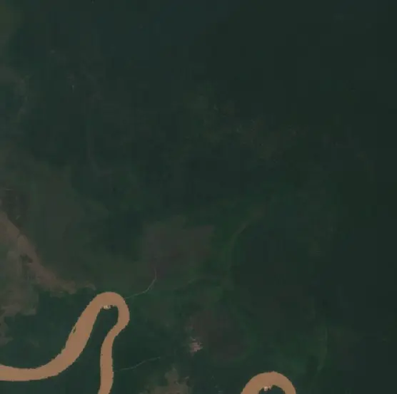 Before — Pulang Pisau (Sentinel-2, 2026-09-11)