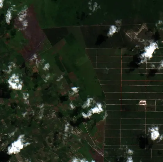 Before —  (Sentinel-2, 2026-08-05)