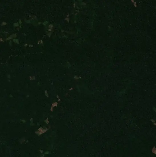 Before — Sepahua (Sentinel-2, 2026-08-14)