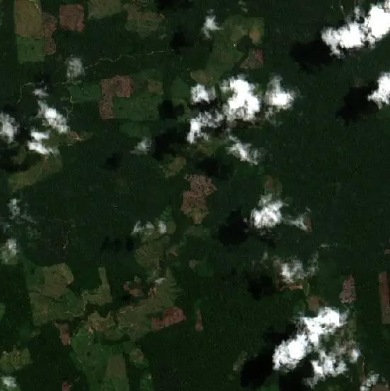 Después — Nueva Requena (Sentinel-2, 2026-09-11)