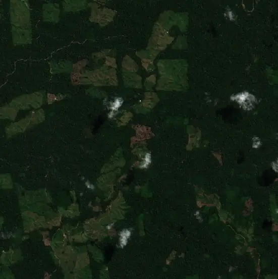 Antes — Nueva Requena (Sentinel-2, 2026-08-07)