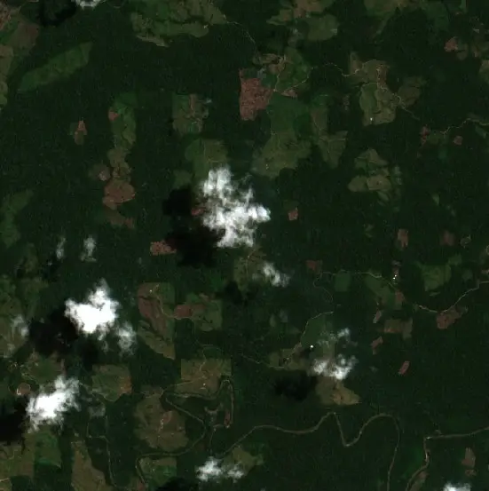 Después — Nueva Requena (Sentinel-2, 2026-09-11)