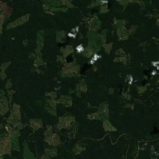 Antes — Nueva Requena (Sentinel-2, 2026-08-07)
