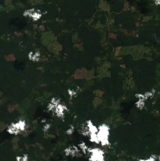 Después — Tournavista (Sentinel-2, 2026-09-01)