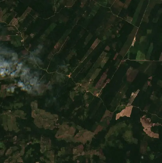 Después —  (Sentinel-2, 2026-09-01)