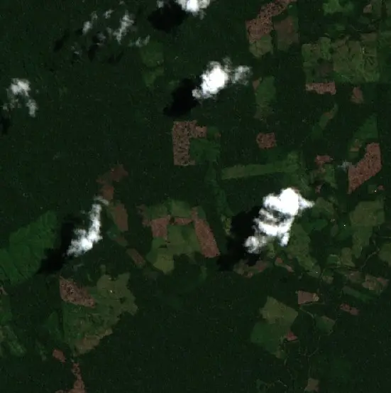 Después — Nueva Requena (Sentinel-2, 2026-09-11)