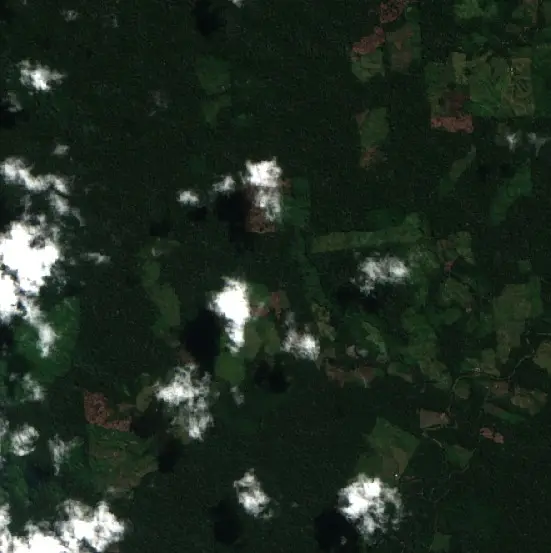Antes — Nueva Requena (Sentinel-2, 2026-08-07)