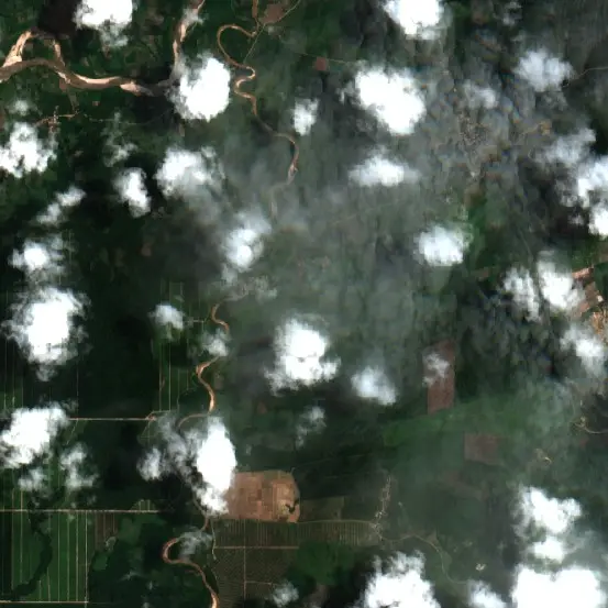 Después — Caynarachi (Sentinel-2, 2026-09-09)