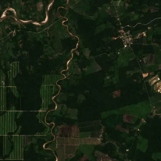 Antes — Caynarachi (Sentinel-2, 2026-08-07)
