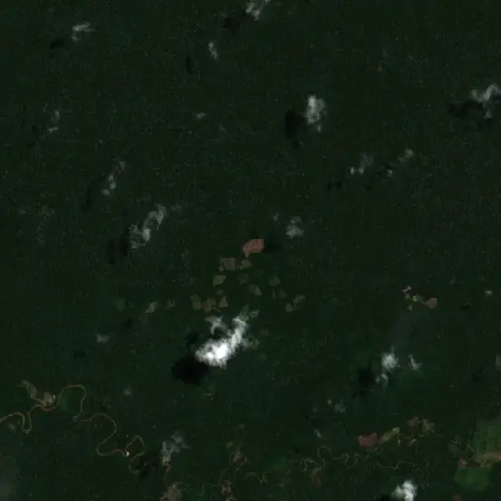 After — Sarayacu (Sentinel-2, 2026-09-06)