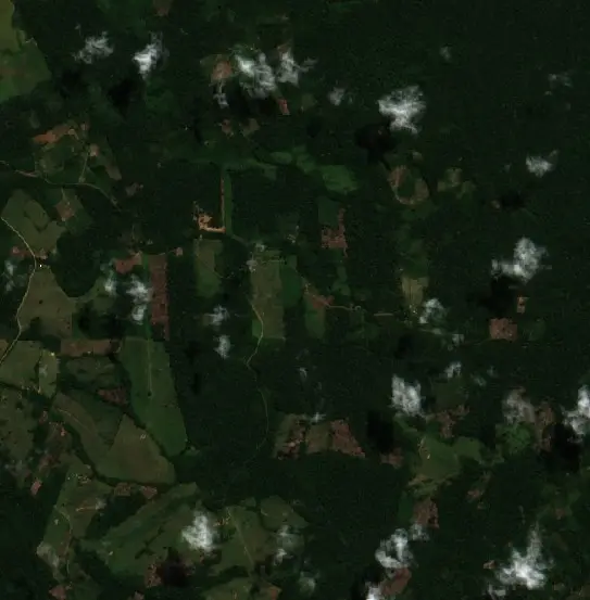 Before — Inambari (Sentinel-2, 2026-08-13)