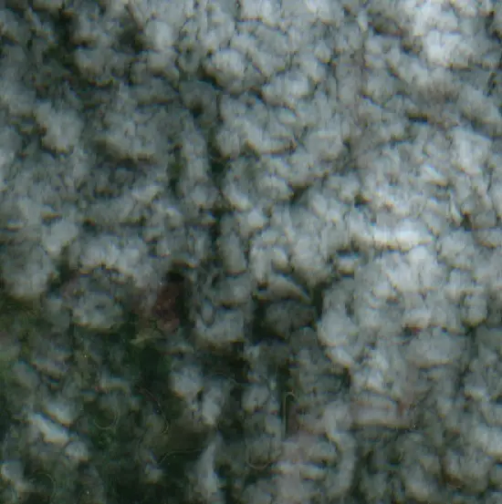 After — Puerto Inca (Sentinel-2, 2026-09-23)