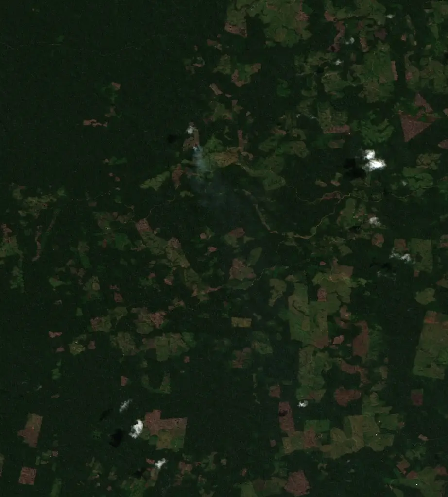 Antes — Tournavista (Sentinel-2, 2026-09-11)
