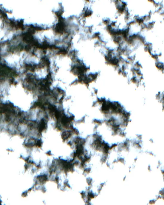 Después — Aguaytía (Sentinel-2, 2026-09-23)