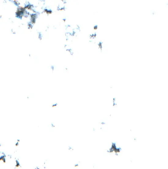 Después —  (Sentinel-2, 2026-09-01)