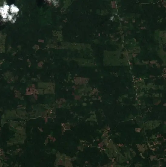 After — Constitución (Sentinel-2, 2026-09-06)