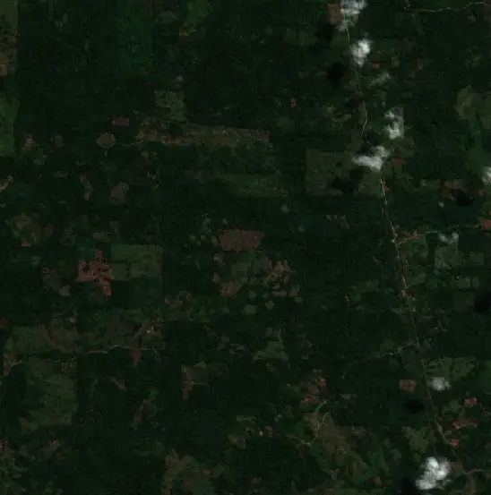 Before — Constitución (Sentinel-2, 2026-08-07)