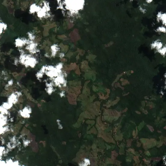 Después — Pajarillo (Sentinel-2, 2026-09-09)
