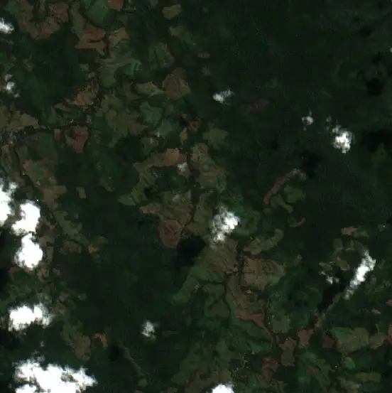 Antes — Pajarillo (Sentinel-2, 2026-08-07)
