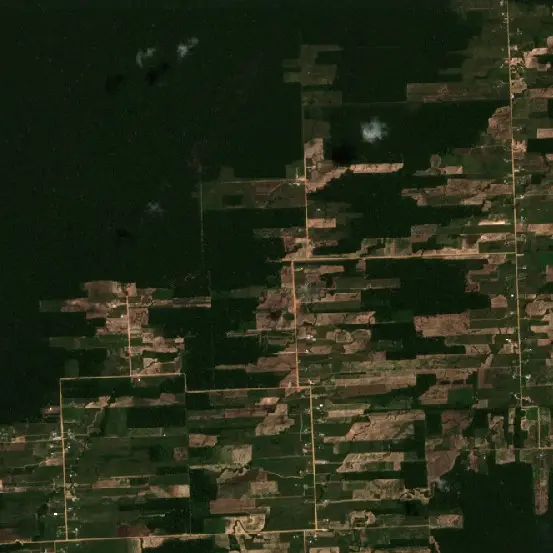 Después — Sarayacu (Sentinel-2, 2026-09-01)