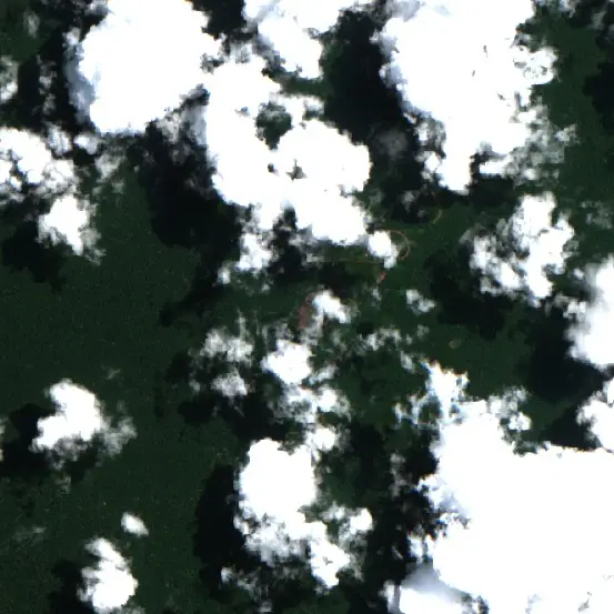 Después — Sarayacu (Sentinel-2, 2026-09-11)