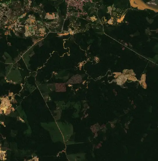 Before — Madre de Dios (Sentinel-2, 2026-08-28)