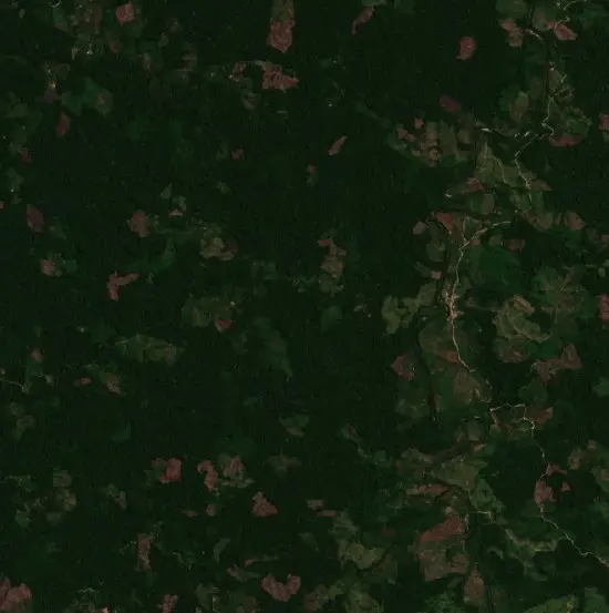 Después —  (Sentinel-2, 2026-09-11)