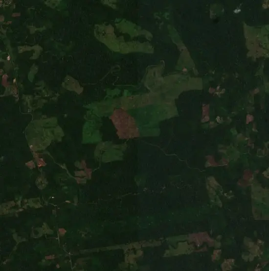 Después —  (Sentinel-2, 2026-09-11)