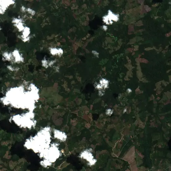 Después — Pajarillo (Sentinel-2, 2026-09-09)