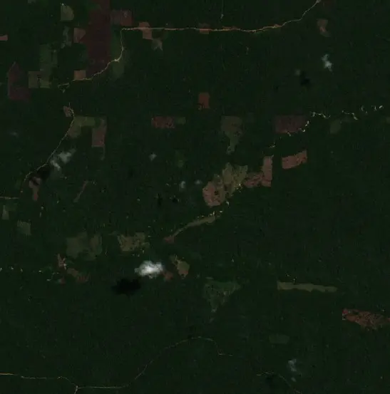 Después — Raymondi (Sentinel-2, 2026-09-10)