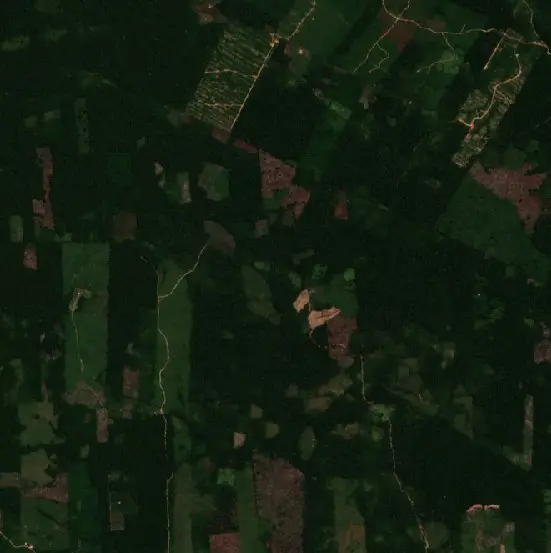 Before — Nueva Requena (Sentinel-2, 2026-08-07)