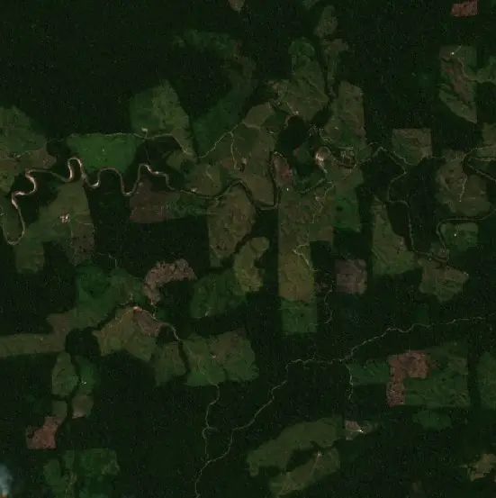 After —  (Sentinel-2, 2026-09-01)