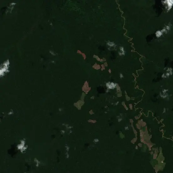 After —  (Sentinel-2, 2026-09-11)
