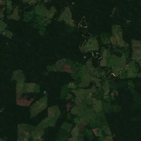Before — Nueva Requena (Sentinel-2, 2026-08-07)
