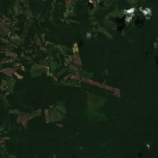 Después —  (Sentinel-2, 2026-09-01)