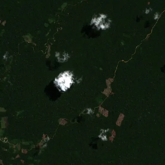 After —  (Sentinel-2, 2026-09-01)