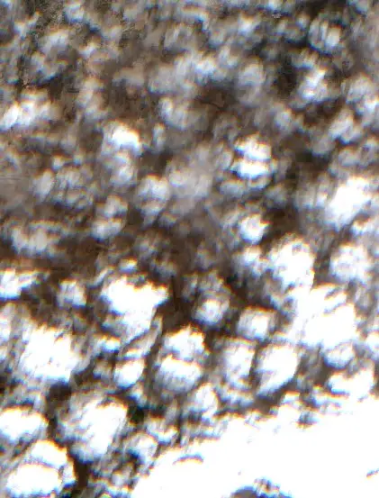 Sonrası —  (Sentinel-2, 2026-09-14)
