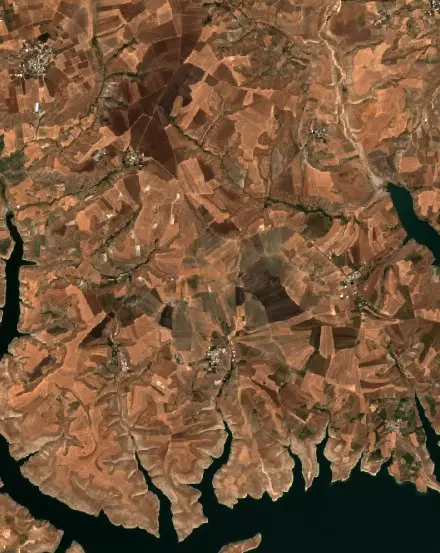 Before —  (Sentinel-2, 2026-09-10)