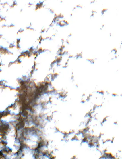 Sonrası — Alaca (Sentinel-2, 2026-09-14)
