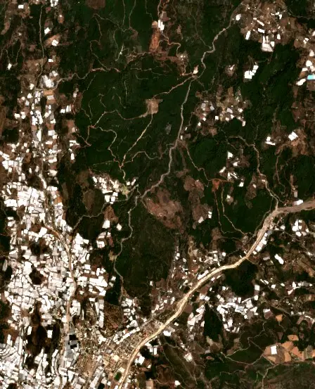 Öncesi — Kumluca (Sentinel-2, 2026-08-01)