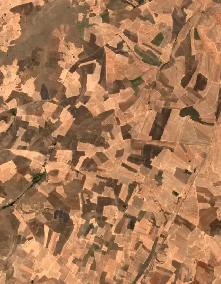 Öncesi —  (Sentinel-2, 2026-08-15)