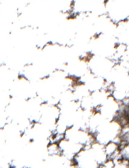 Sonrası — Alaca (Sentinel-2, 2026-09-14)