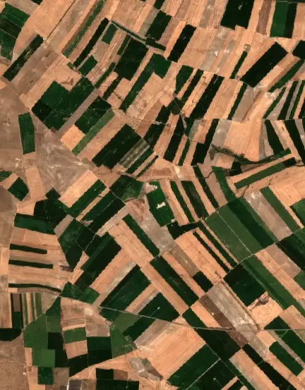 Öncesi —  (Sentinel-2, 2026-08-20)