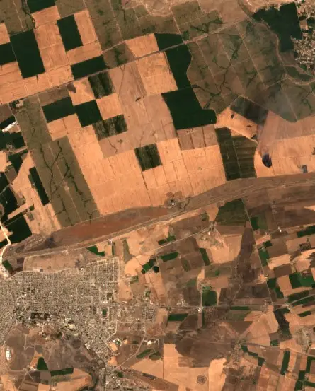 Sonrası — Ceylanpınar (Sentinel-2, 2026-09-10)