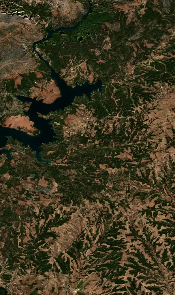 Öncesi —  (Sentinel-2, 2026-09-03)