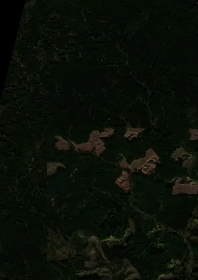 After — Yamhill County (Sentinel-2, 2026-10-23)