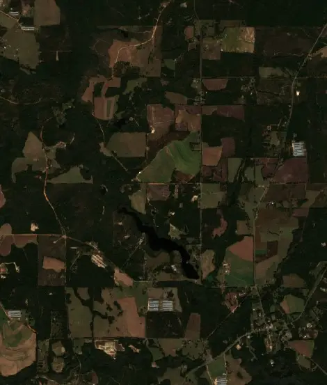 After — Marion County (Sentinel-2, 2026-10-22)